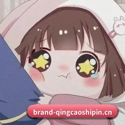粉丝基数飙升